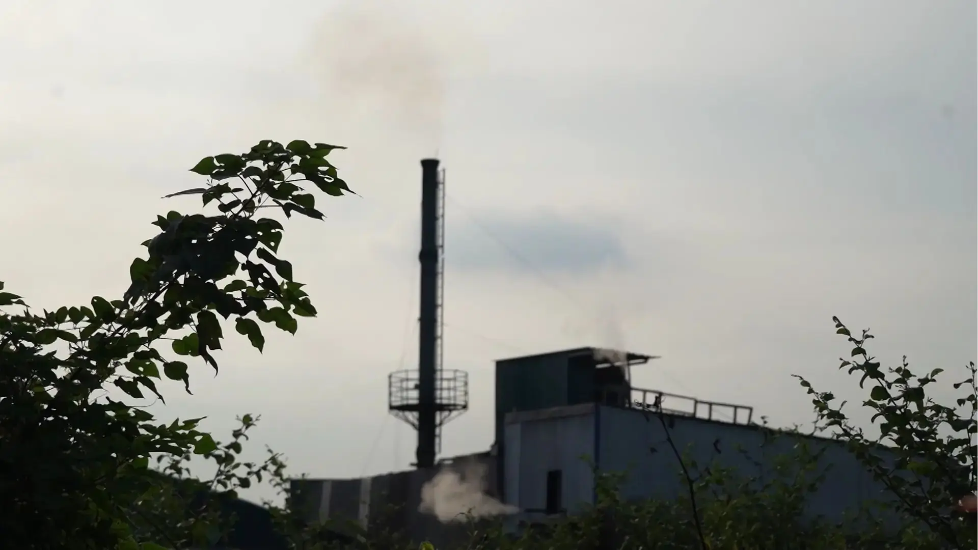 Không đánh đổi môi trường để phát triển kinh tế | Hộp thư truyền hình | 20/09/2025